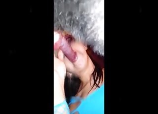 Amateur Zoofilia Porn