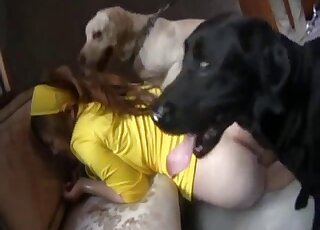 Woman bestiality xxx