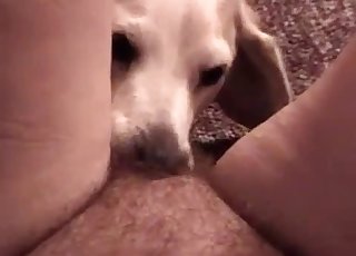Licking