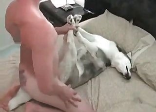 Husky