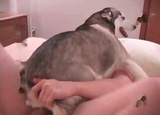 Anal