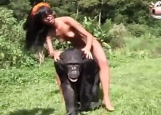 Monkey