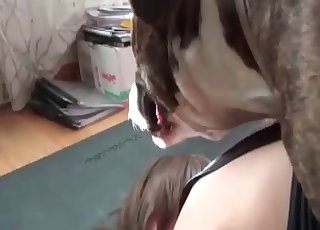 Štěně